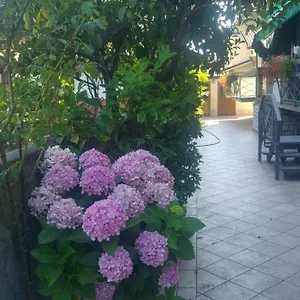 Appartamento Vacanze, Lido di Camaiore
